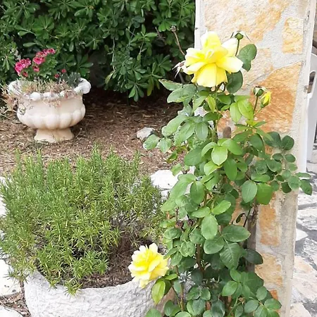 Presecki باغ