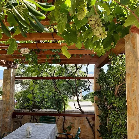 Apartmán Presecki