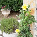Presecki Pag Town