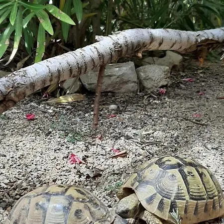 Presecki Appartamento *